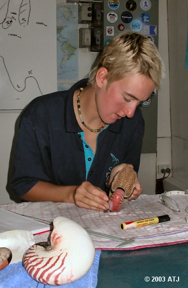 Jules preparing a nautilus for tagging
